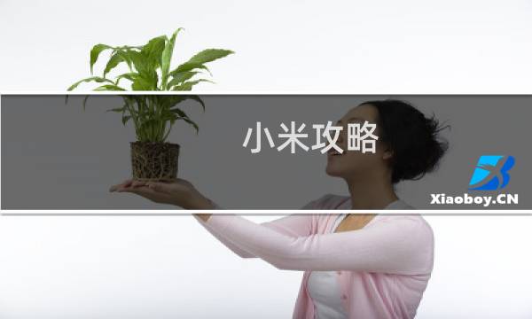 小米攻略