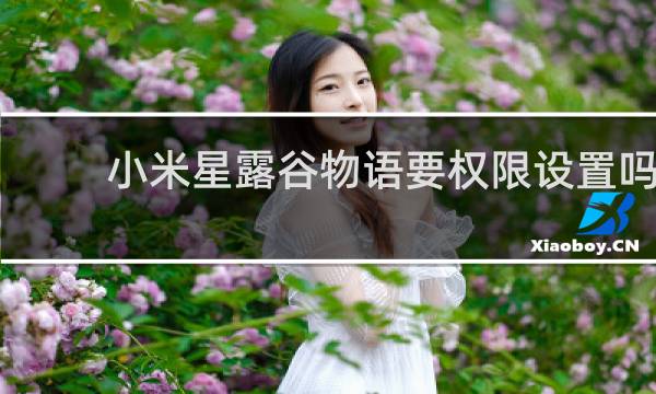 小米星露谷物语要权限设置吗