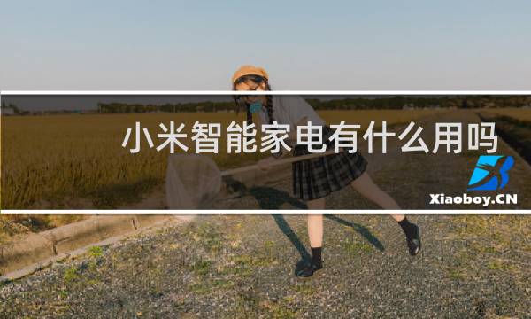 小米智能家電有什么用嗎
