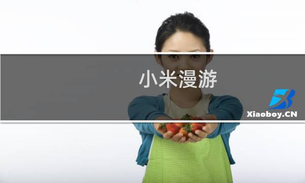 小米漫游 攻略