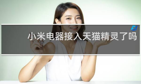 小米电器接入天猫精灵了吗