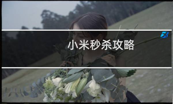 小米秒杀攻略