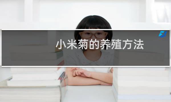 小米菊的养殖方法