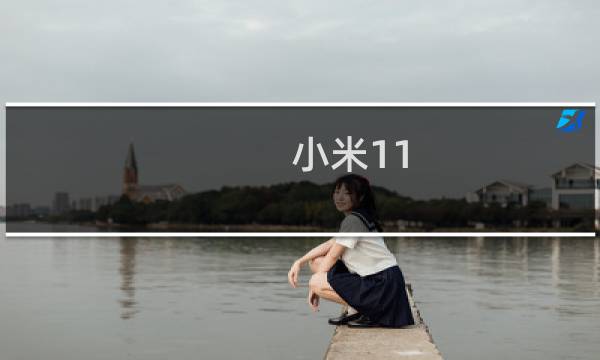 小米11.0.6怎么下载原神