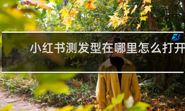 小红书测发型在哪里怎么打开