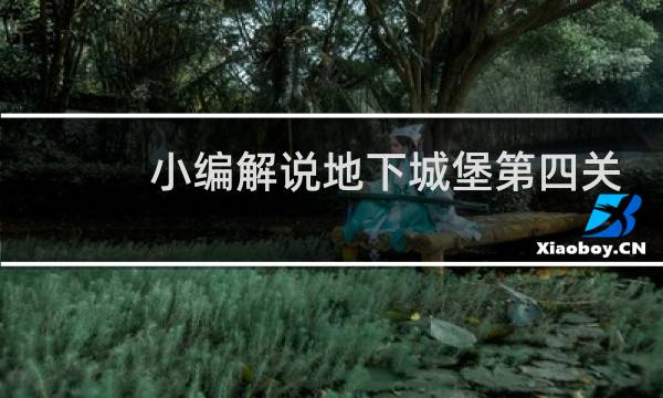 小编解说地下城堡第四关