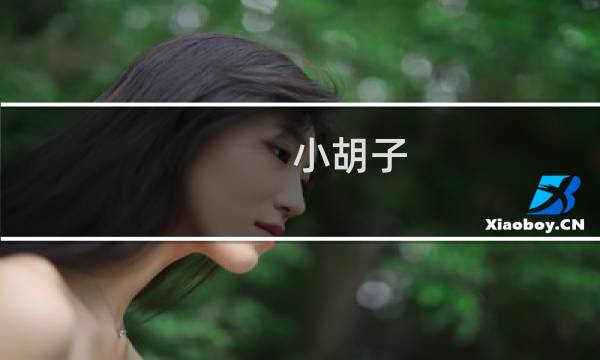 小胡子 最终幻想