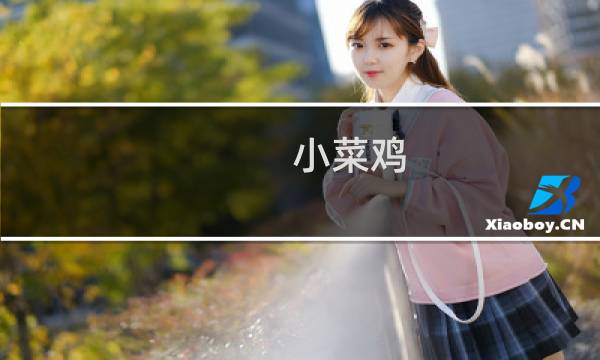 小菜鸡 方舟生存进化
