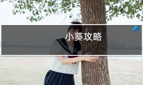 小葵攻略