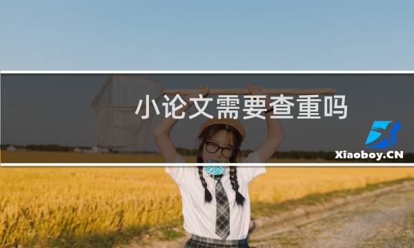 小论文需要查重吗