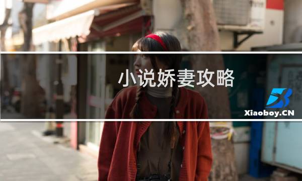 小说娇妻攻略