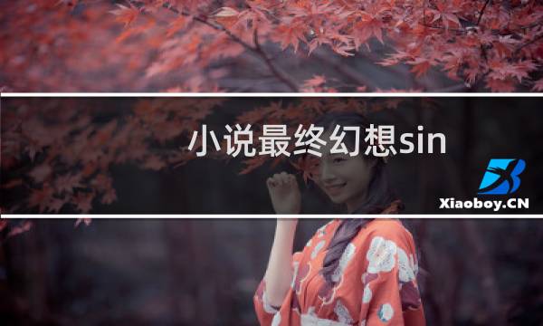 小说最终幻想sin