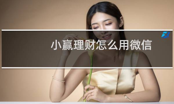 小赢理财怎么用微信