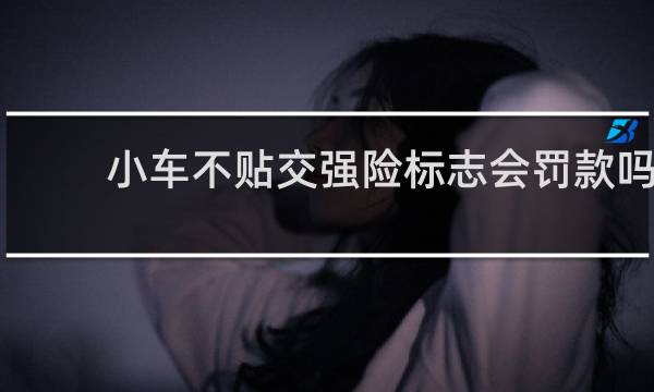 小车不贴交强险标志会罚款吗