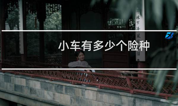 小车有多少个险种