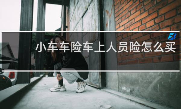 小车车险车上人员险怎么买