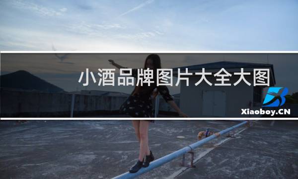 小酒品牌图片大全大图