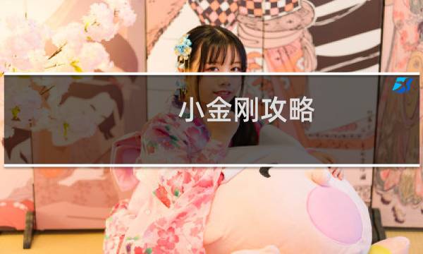 小金刚攻略