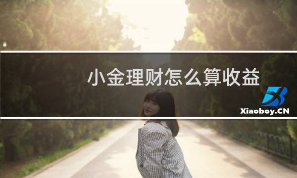 小金理财怎么算收益