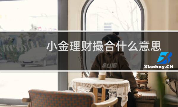 小金理财撮合什么意思
