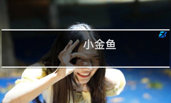 小金鱼 烟 价格
