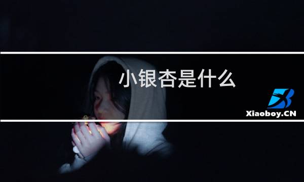 小银杏是什么