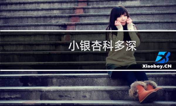 小银杏科多深