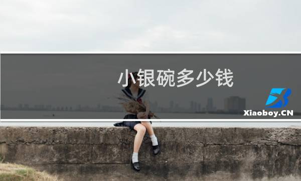 小银碗多少钱