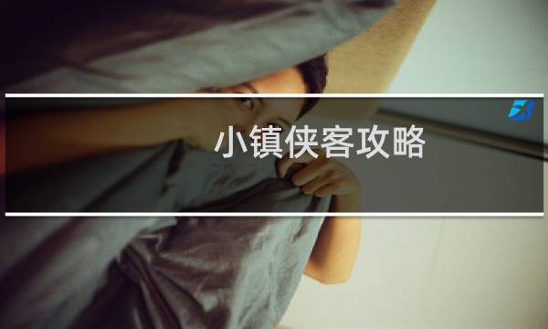 小镇侠客攻略