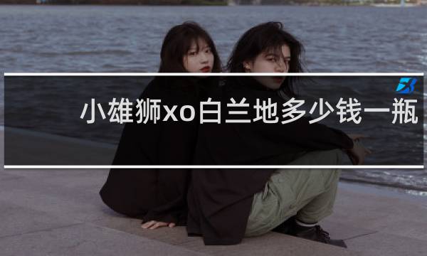 小雄狮xo白兰地多少钱一瓶
