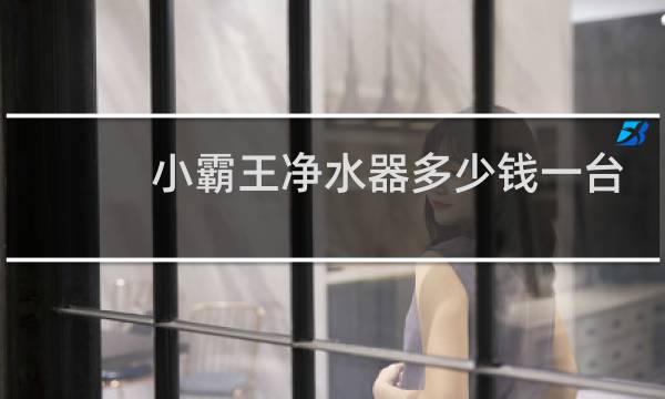 小霸王净水器多少钱一台