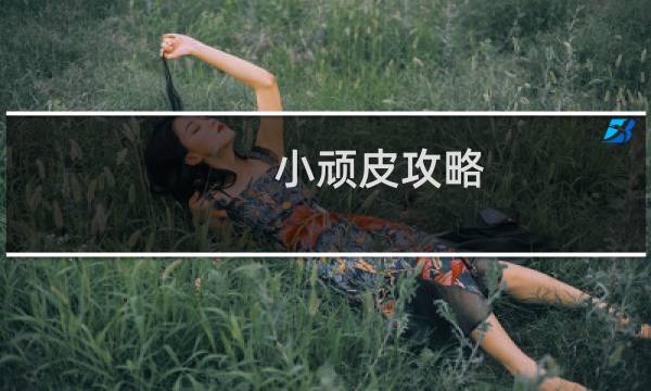 小顽皮攻略