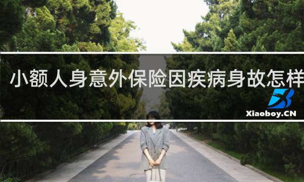 小额人身意外保险因疾病身故怎样赔付