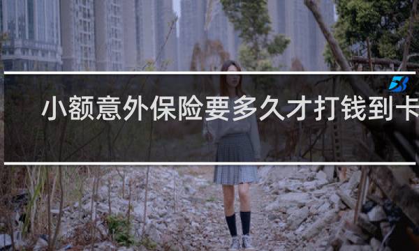 小额意外保险要多久才打钱到卡里