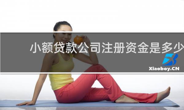 小额贷款公司注册资金是多少