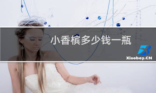 小香槟多少钱一瓶