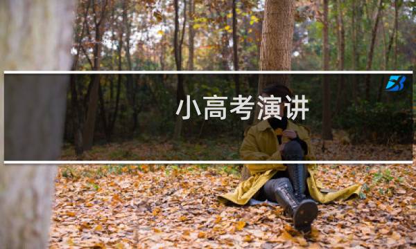 小高考演讲