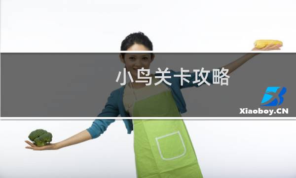 小鸟关卡攻略