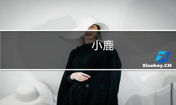 小鹿 副本攻略