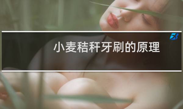 小麦秸秆牙刷的原理