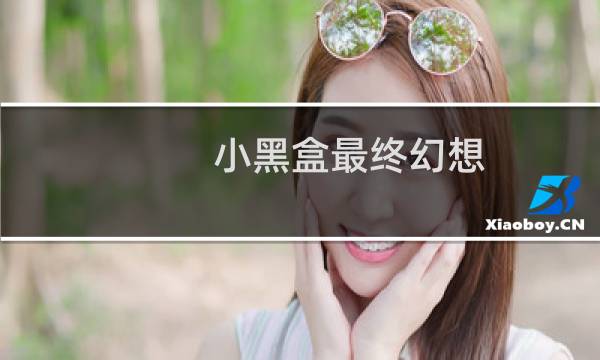 小黑盒最终幻想