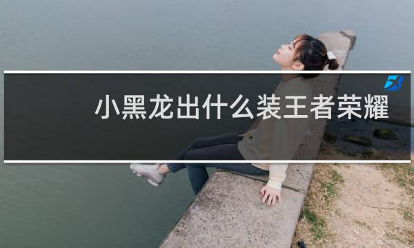 小黑龙出什么装王者荣耀