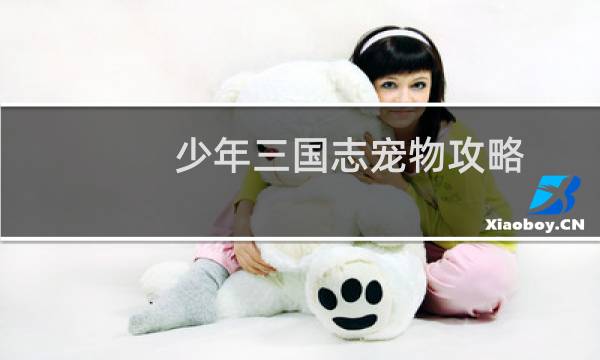 少年三国志宠物攻略