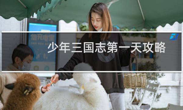 少年三国志第一天攻略