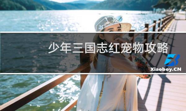 少年三国志红宠物攻略