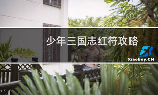 少年三国志红符攻略