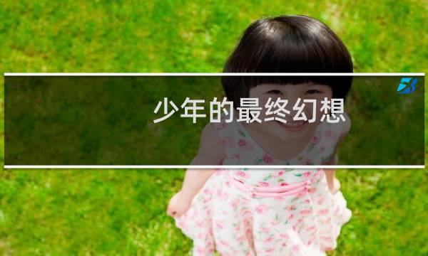 少年的最终幻想