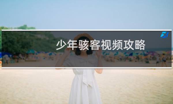 少年骇客视频攻略