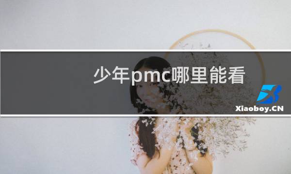 少年pmc哪里能看