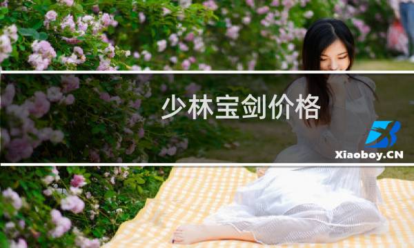 少林宝剑价格